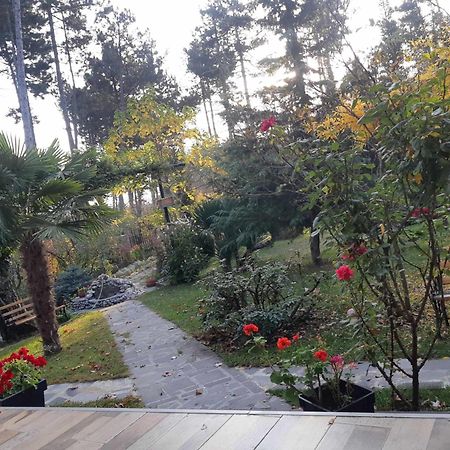 Neli & Zaal Guest House Telavi Luaran gambar