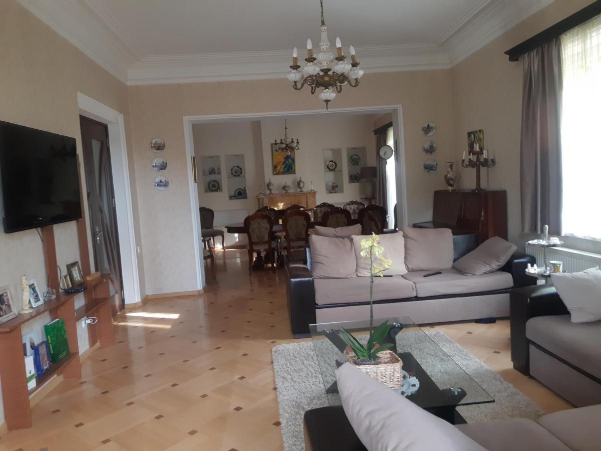Neli & Zaal Guest House Telavi Luaran gambar
