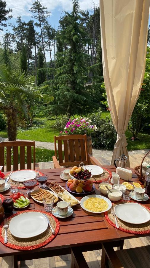 Neli & Zaal Guest House Telavi Luaran gambar