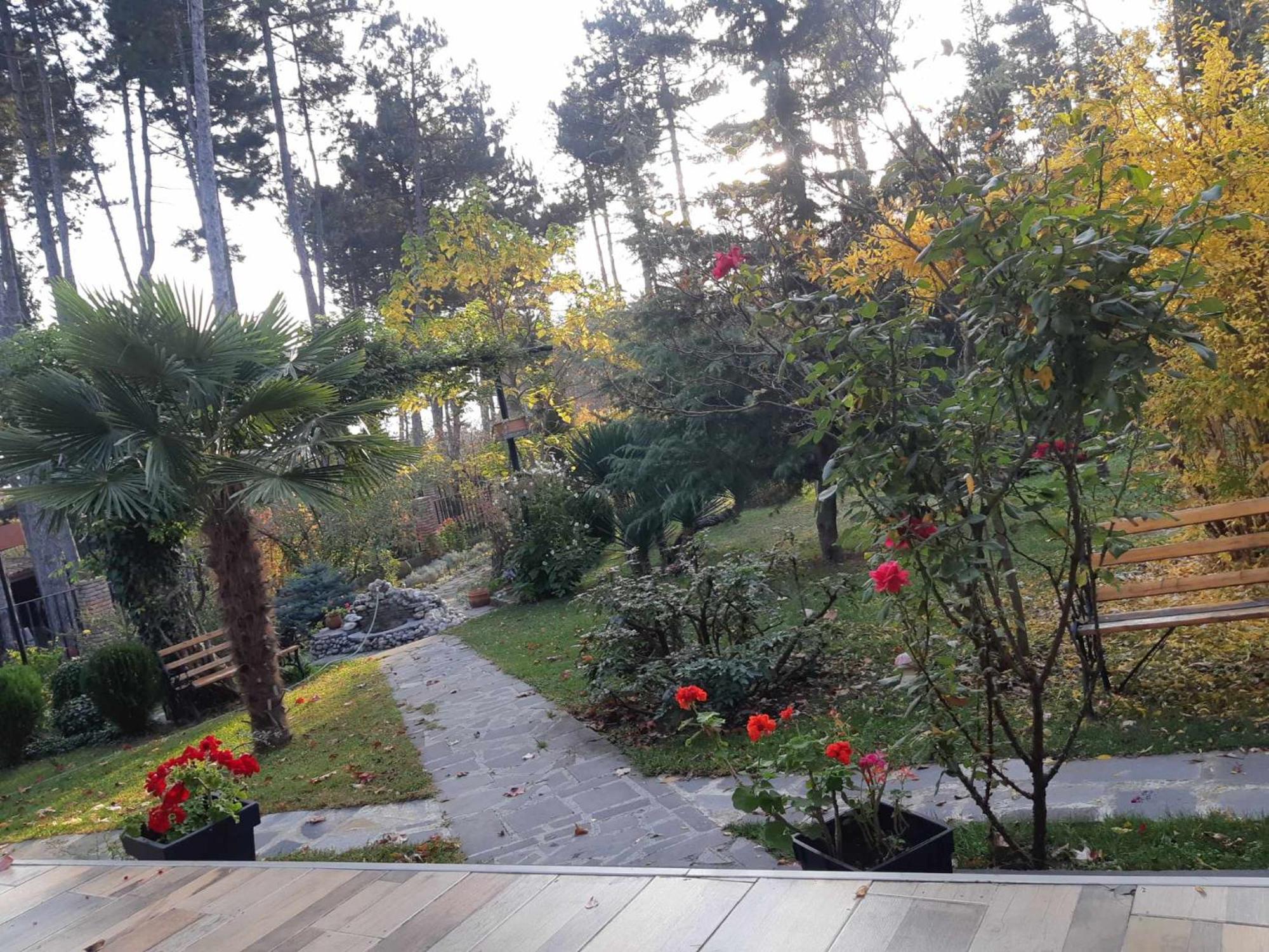 Neli & Zaal Guest House Telavi Luaran gambar